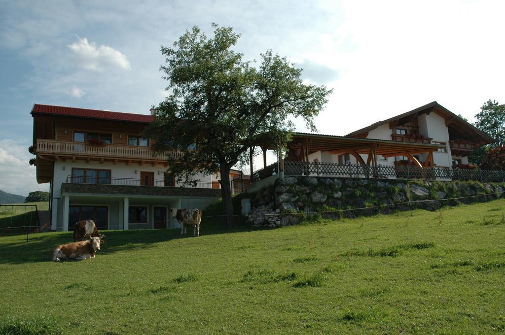 Ferienhaus U. Appartement Knauss Schladming Dış mekan fotoğraf